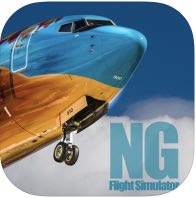 NG Flight Simulator hack logo
